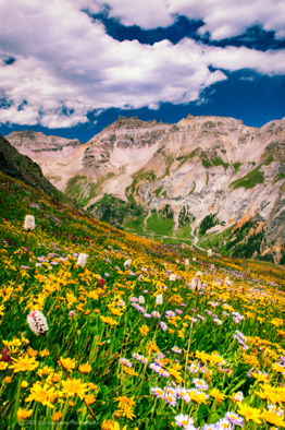 Magnificent Colorado.jpg